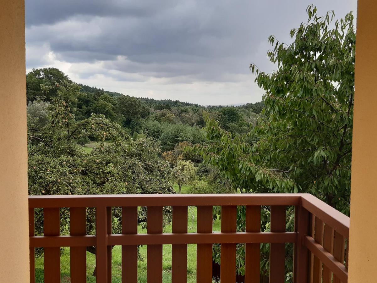 Apartmany U Zvonicky Prachov Exterior foto
